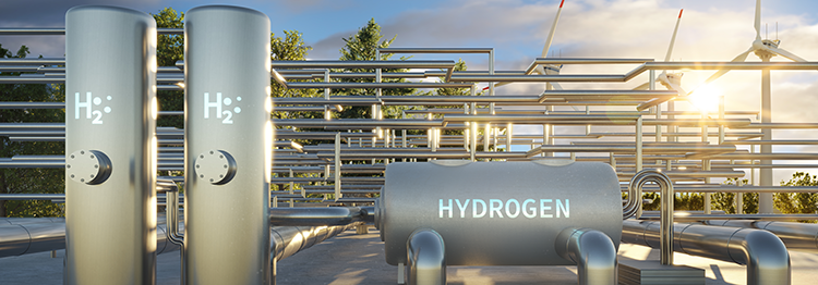 WI.TEC Sensork HYDROgas