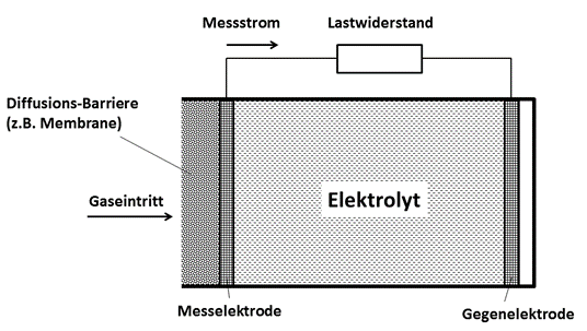 WI.TEC Sensorik Prinzipieller Aufbau eines elektrochemischen Gassensors