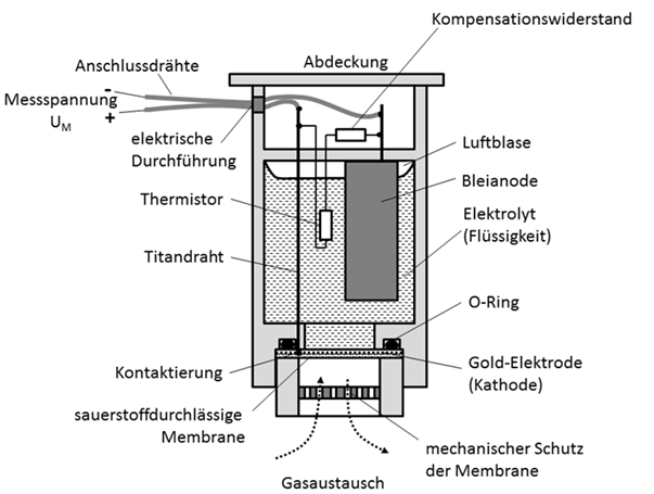 WI.TEC Sensorik Querschnitt Elektrochemischer Sauerstoffsensor