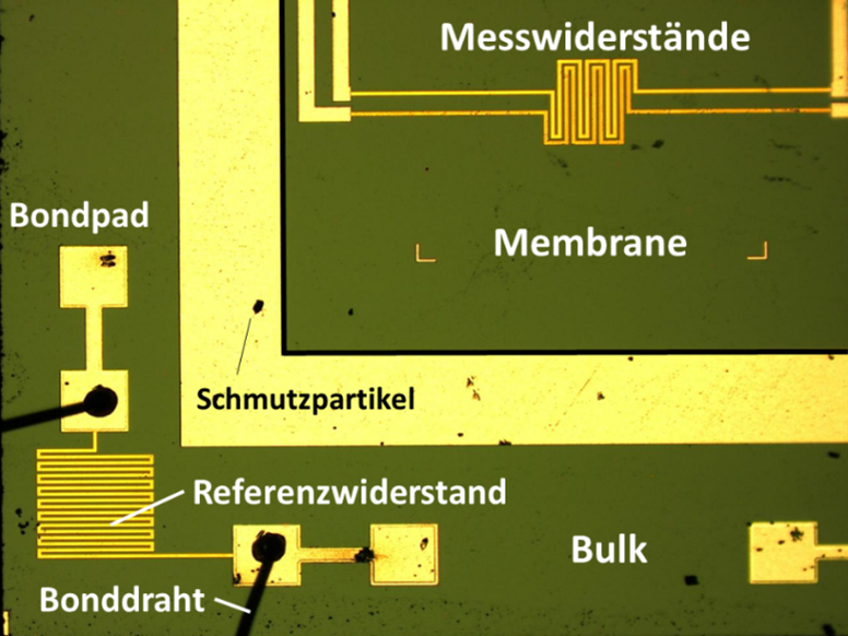 WI.TEC Sensorik Teilansicht der Sensorstruktur