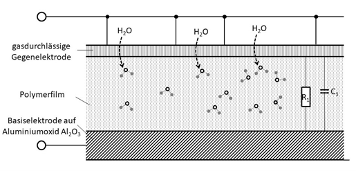 WI.TEC Sensorik wirksamkeitsmechanismus-polymer-feuchtigkeitssensor